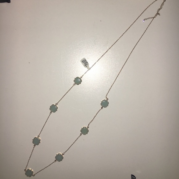 Francesca's Collections Jewelry - Francesca’s Long Necklace